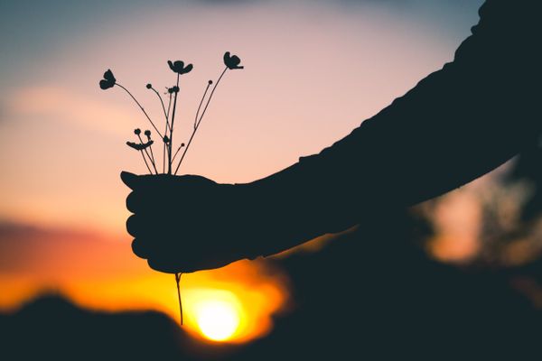 [088] WorkFlowy：輔大心理系事件群整理