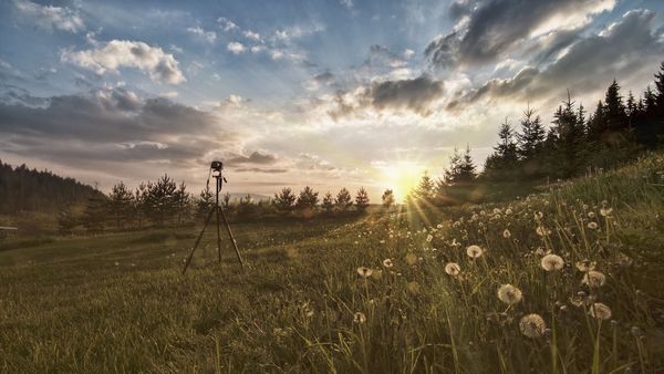 [101] 「輔大心理系事件清單」應用技