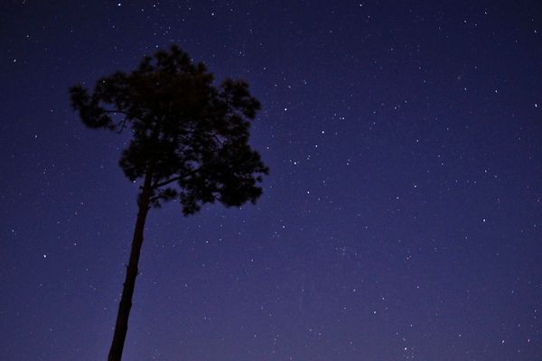 [113] 活用 WorkFlowy 共享清單：台北市各級行政區範本