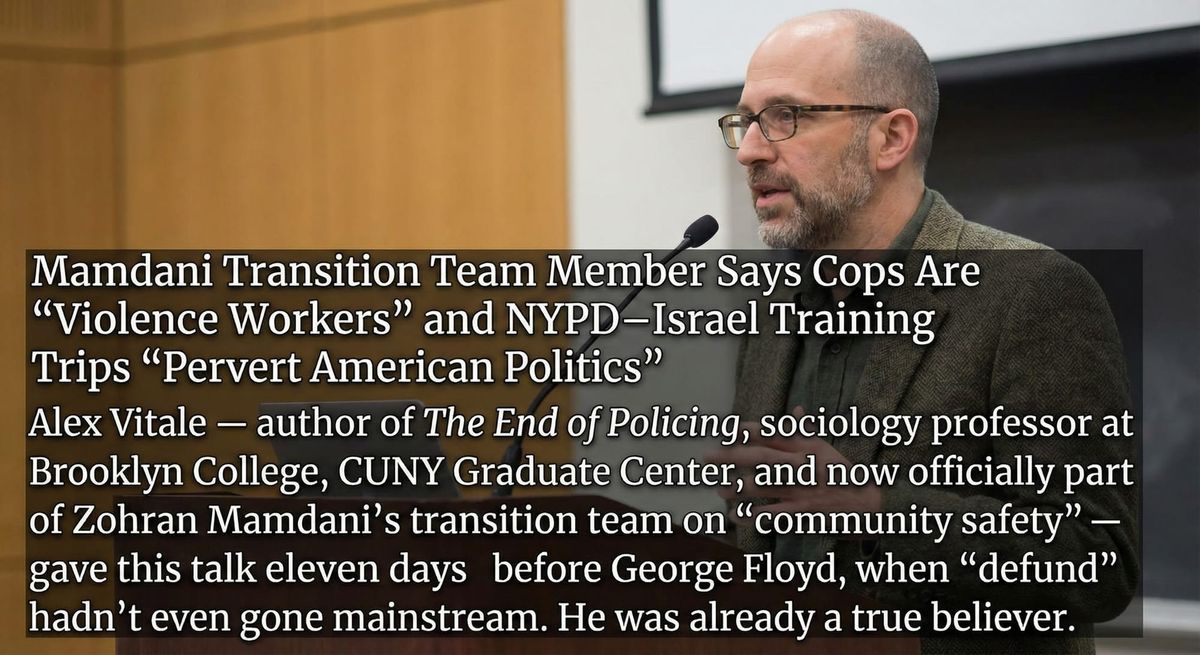 THE SHADOW COMMISSIONER: How a Brooklyn Professor is Using Goldman Sachs Money to Privatize the Police