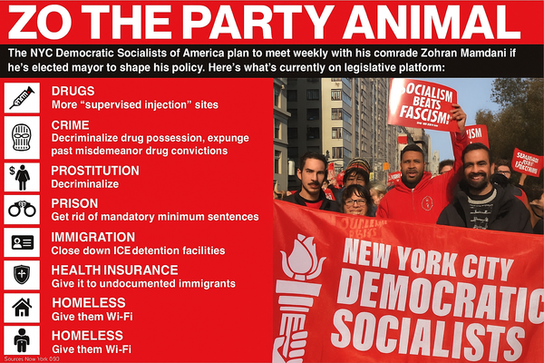 The Ice Cap Cometh: New York's Blueprint for a Totalitarian Quiet Coup