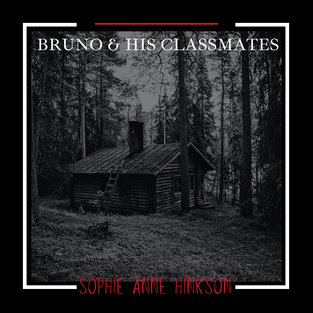 "Bruno and His Classmates" by Sophie Anne Hinkson