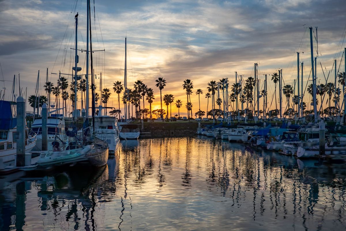 The Cheese Pizza Problem: Consensus Is Killing Your Best Decisions