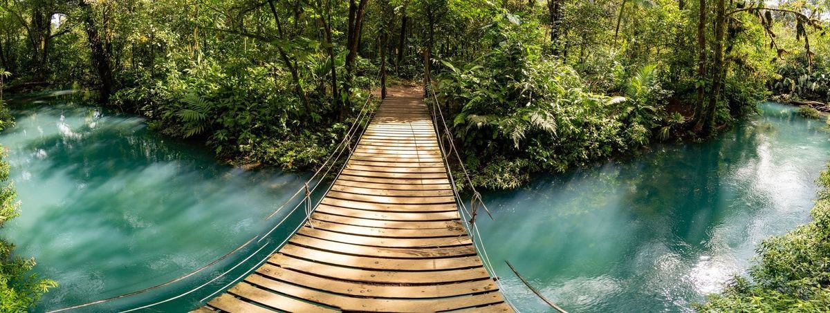 10 Traits of Successful Junior Software Engineers