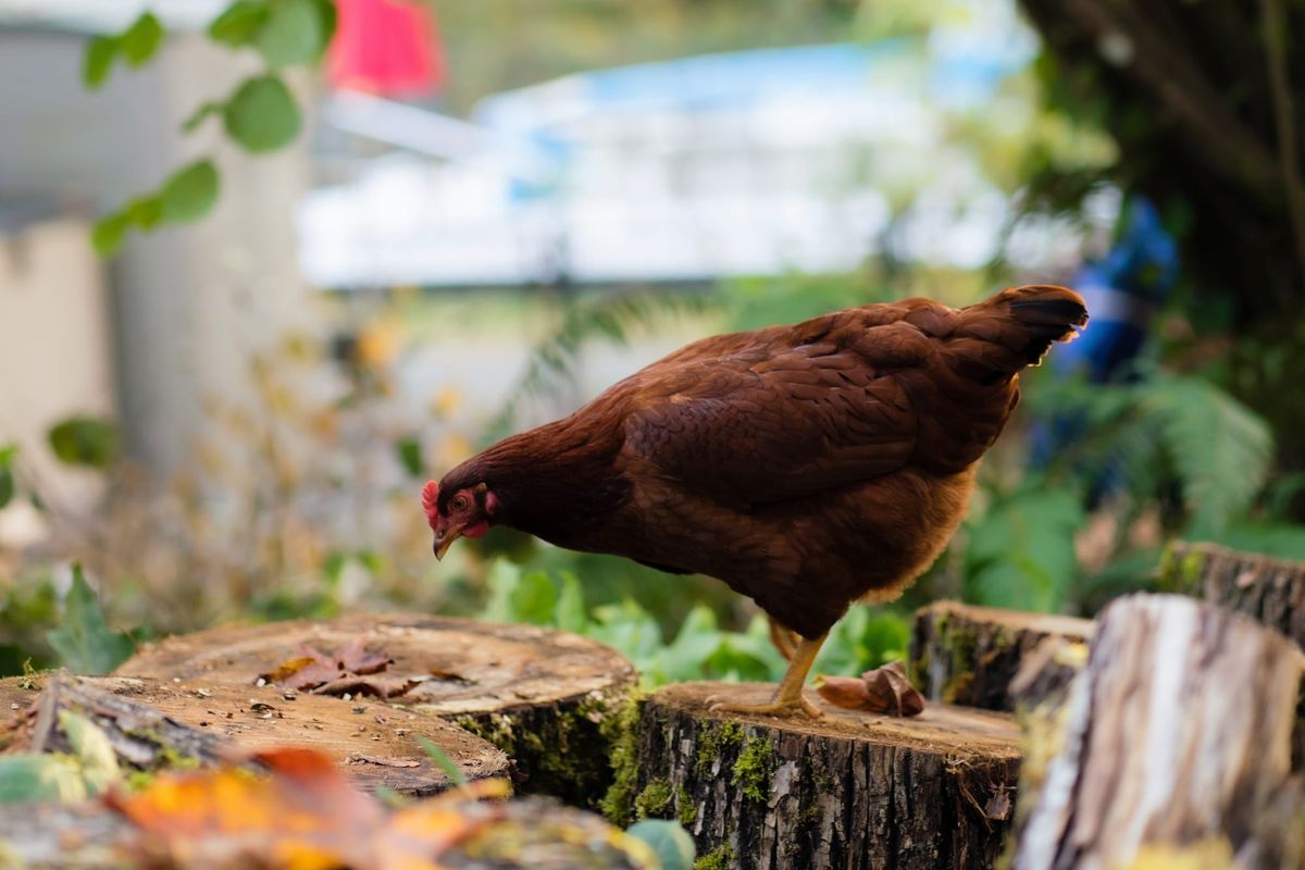 The Hidden Cost of Process: A Guide for Tech Leaders