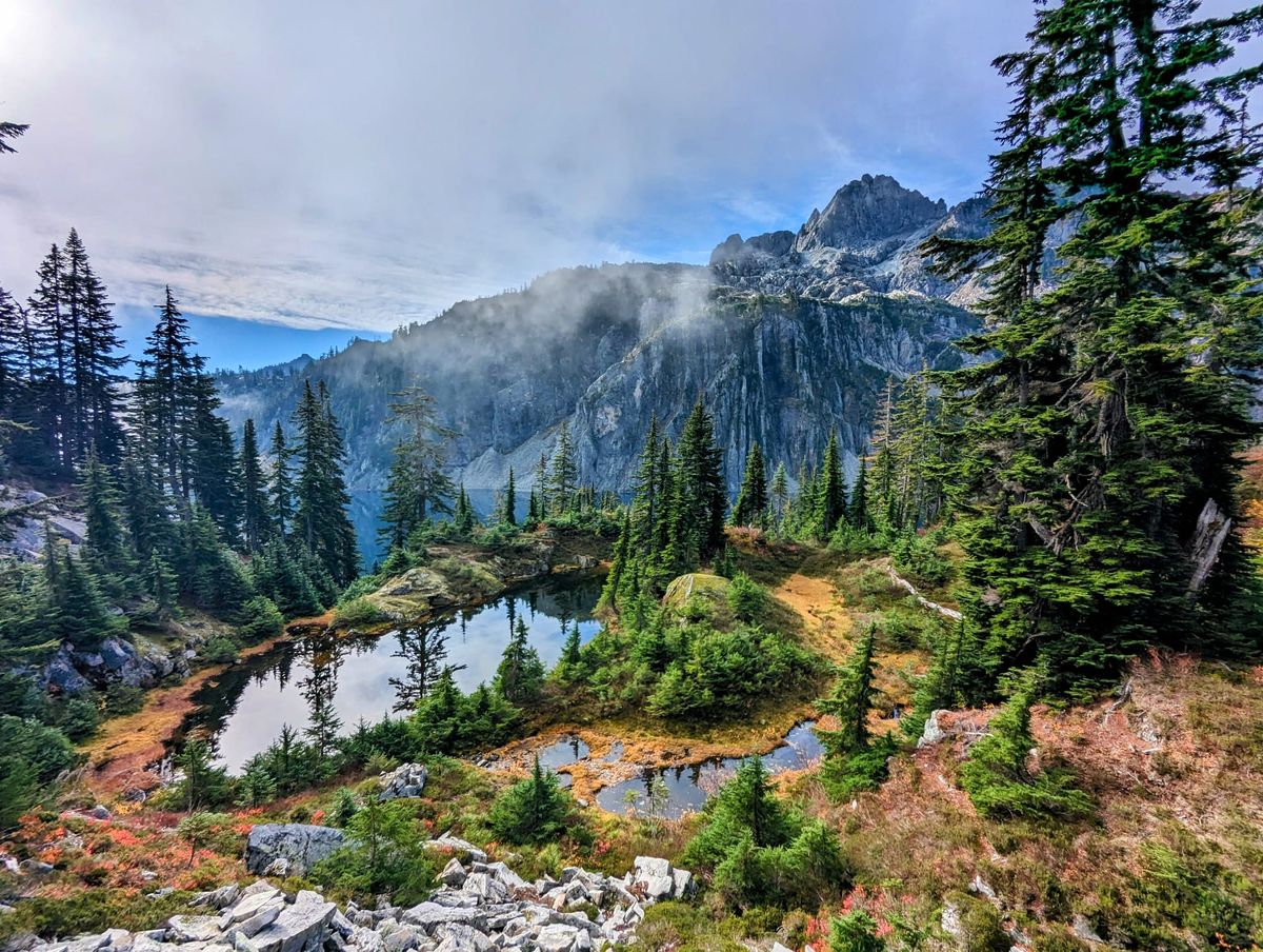 An Announcement, a 2.5 Year Newsletter Update, and My Highest Ever ROI Action at Amazon