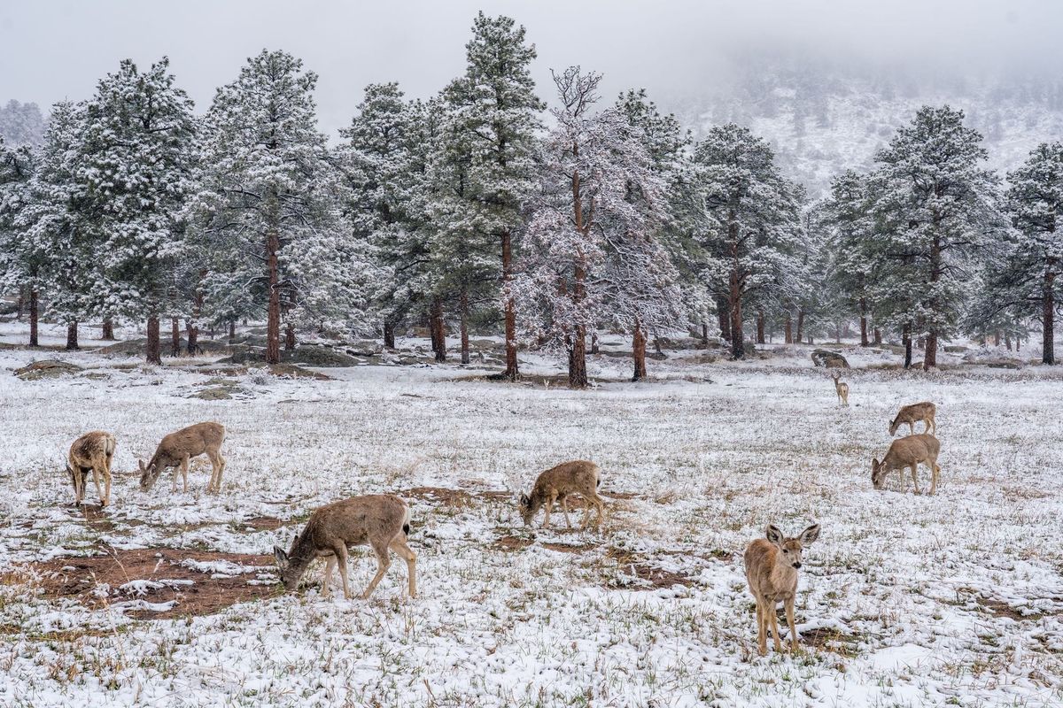 Meetings Are Usually Awful, But Yours Won't Be Anymore