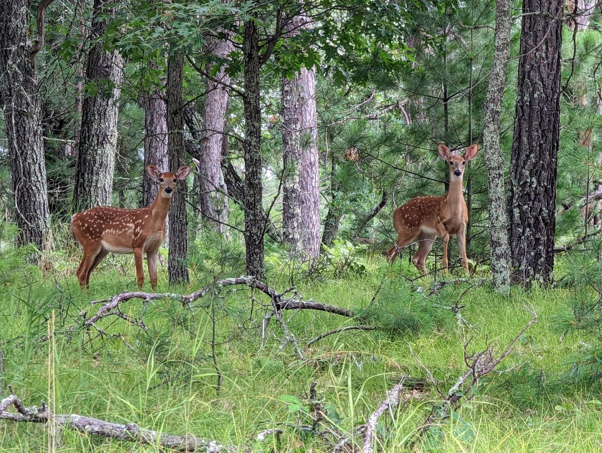 Questions and Answers from Reddit CSCareerQuestions - An Experiment