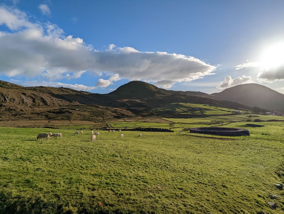 A Guide on Building Your Newsletter and Coaching Business