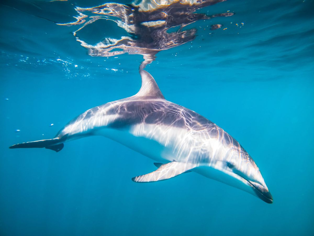 Six Reader Questions About Meetings, Feedback, Communication, and Ideas