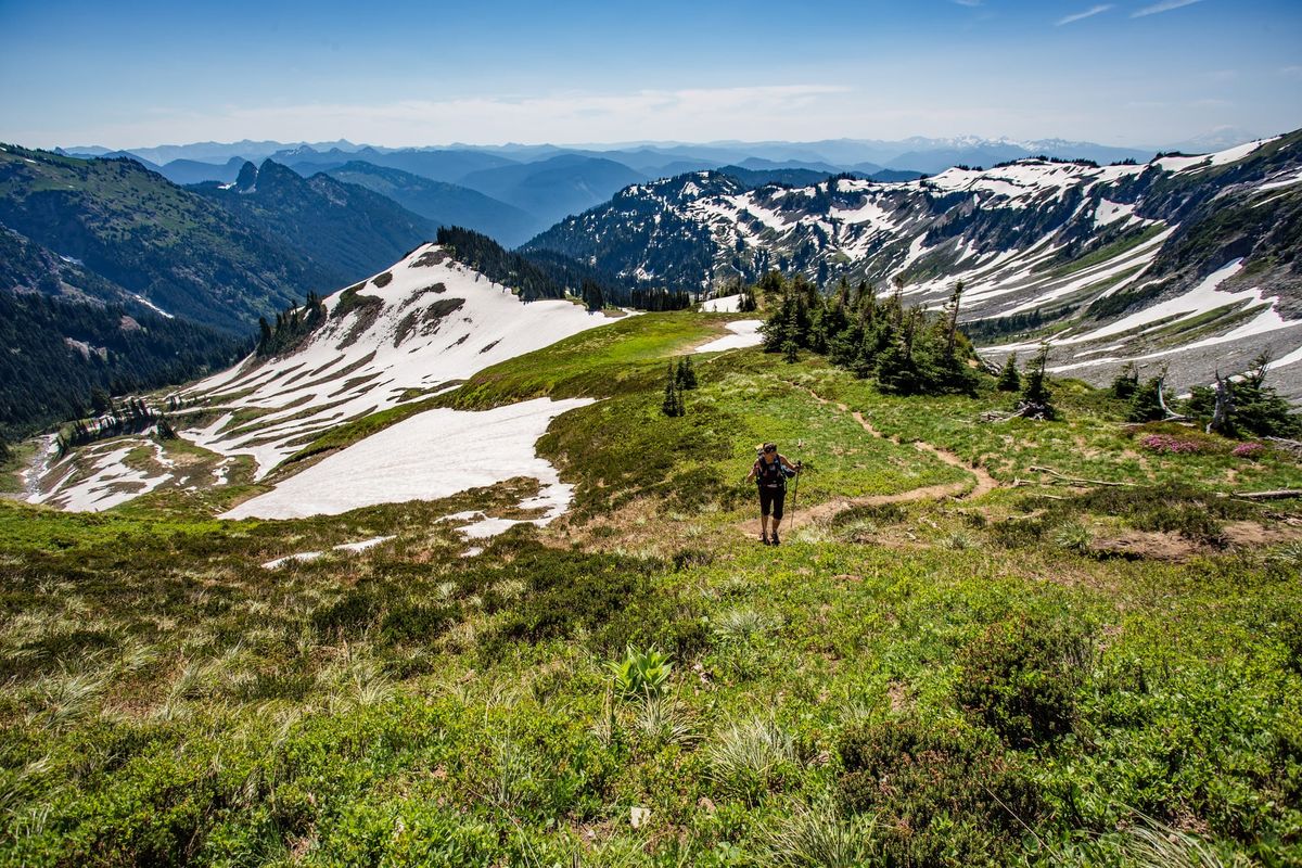 Why Senior Employees Need to Audit and Verify Things for Themselves — It's Not (Only) That We Don't Trust You