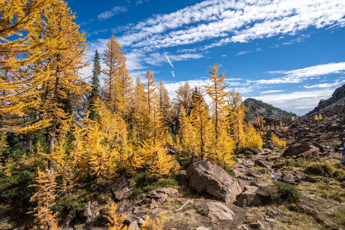 How to Ask Your Manager For a Promotion - Own Your Career!