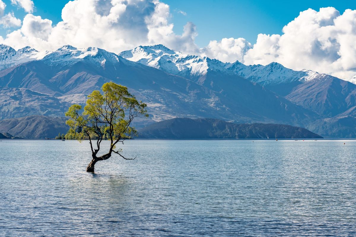 You Don't Have to be a Manager to be a Leader Because Leadership != Management