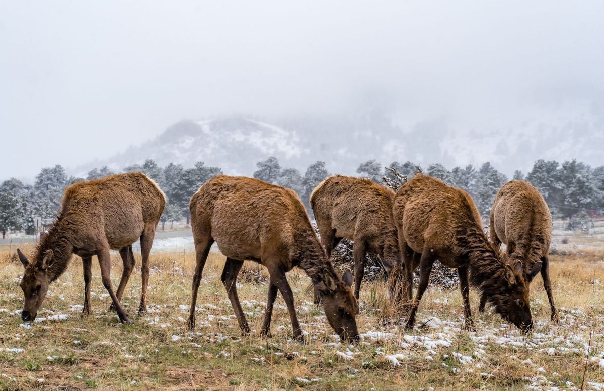 Your Boss Thinks You Suck. Now What?