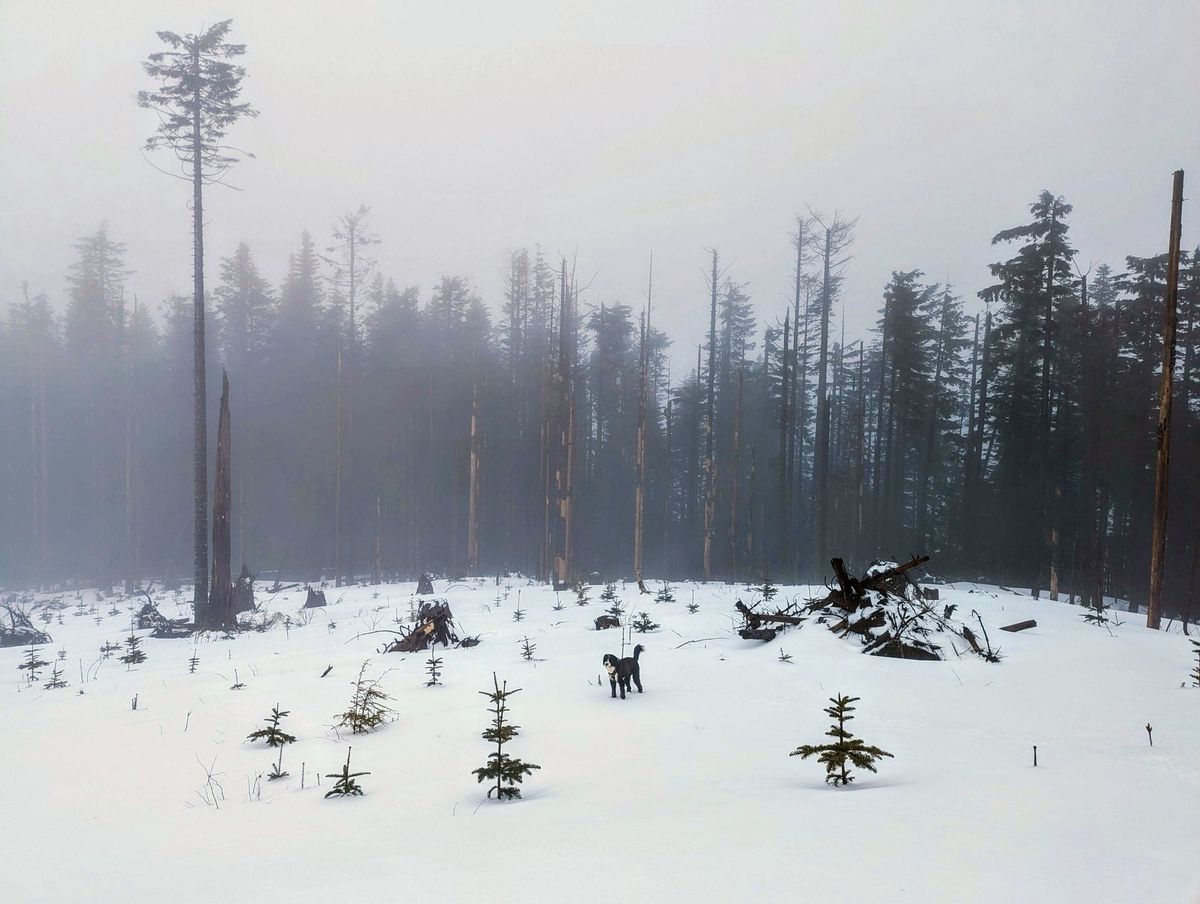 Unlearning at Scale: 3 Things That Led to My Success, But I Had to Drop on My Path to Director