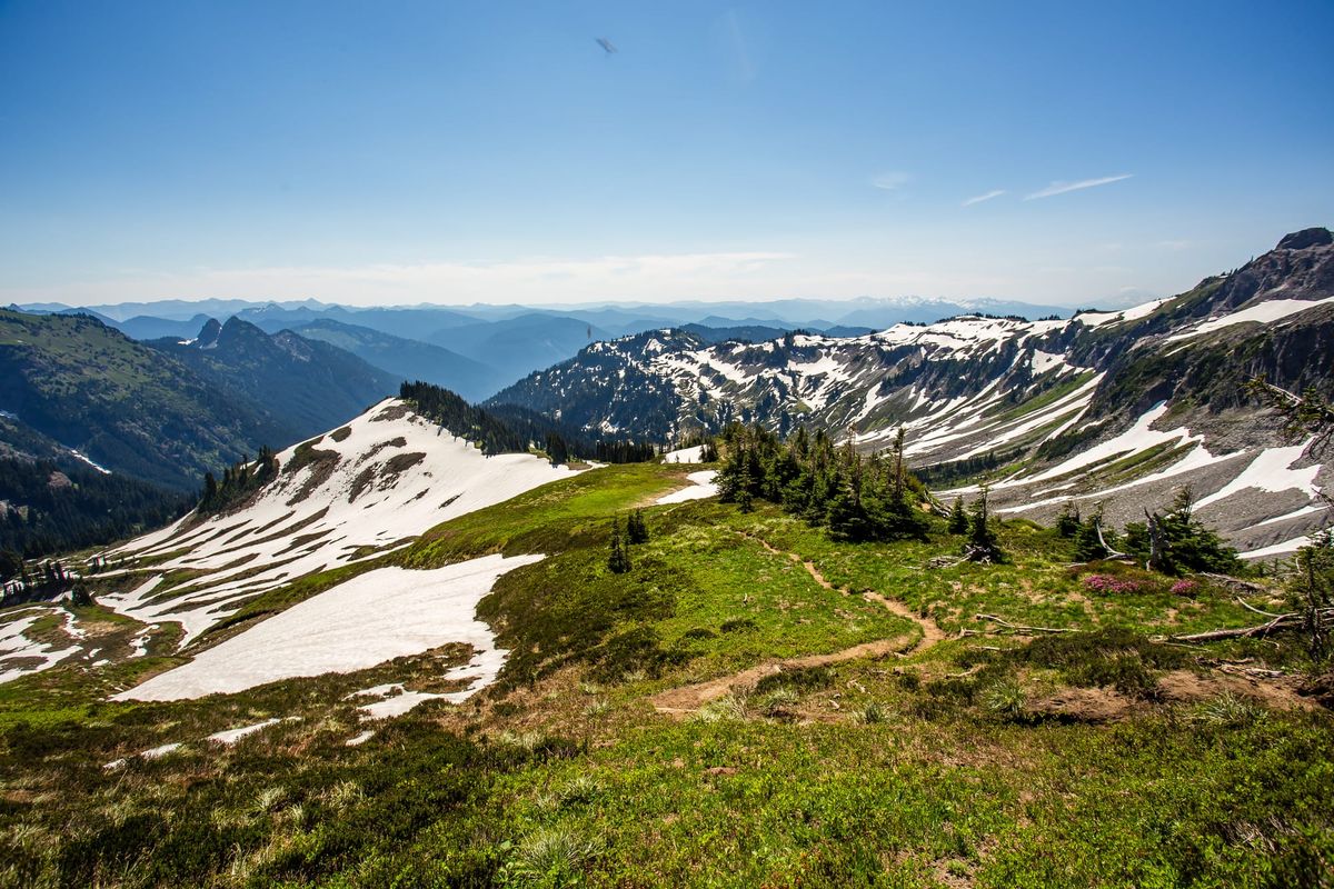 6 Mechanisms Which Drive Personal Career Success