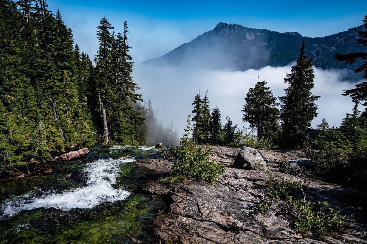 The Value of Clear and Concise Communication