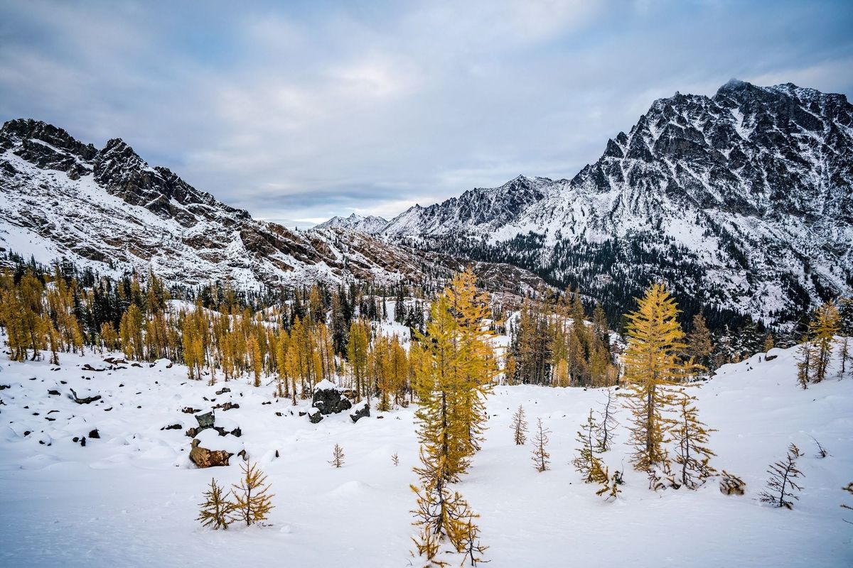 What's Broken About Tech Interviewing and a Few Crazy Ideas