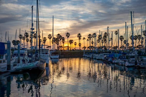 The Cheese Pizza Problem: Consensus Is Killing Your Best Decisions