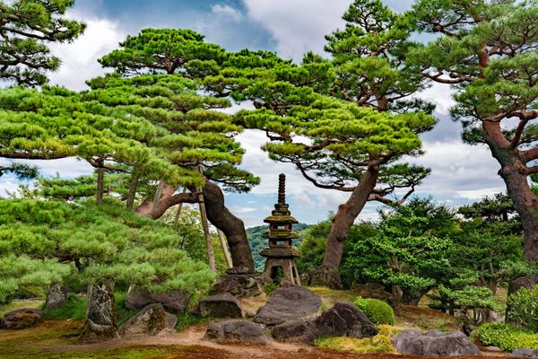 A Simple Guide to Financial Independence