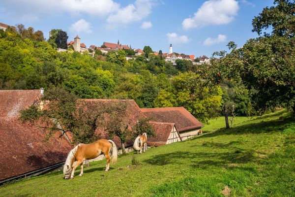 From Star Employee to Struggling Leader — A Simple Explanation of Your Manager's Incompetence