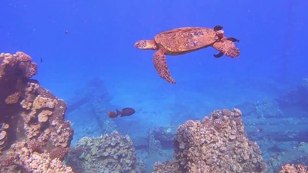 Keep Calm and Carry On - Calm Beats Chaos Every Time