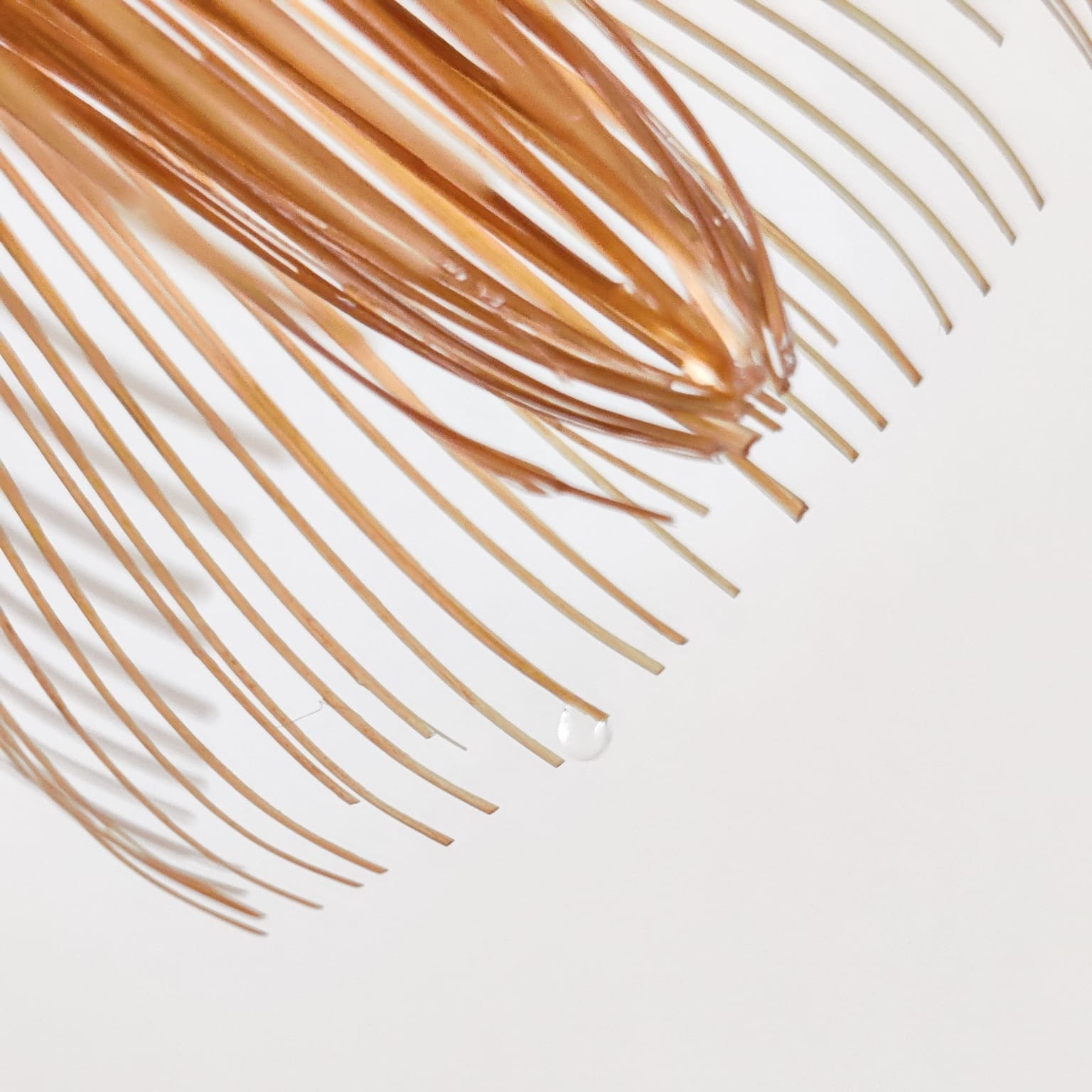 Close up shot of the tines the bamboo whisk. Photo credit @janschanoma