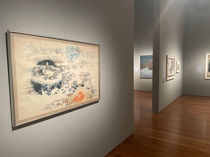 Houston Artist Gets Rightful Showcase At Asia Society