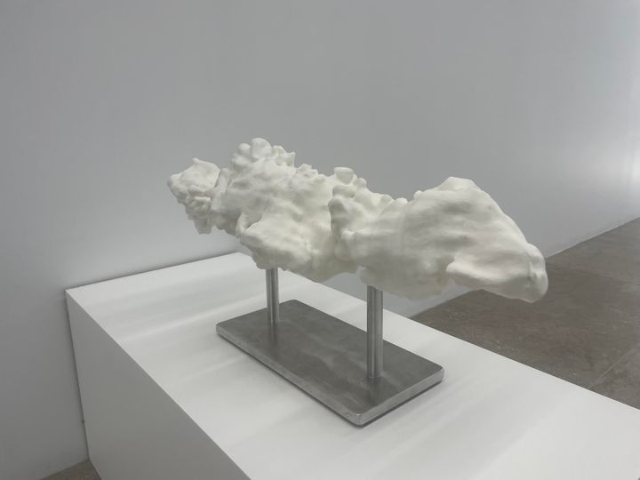 Fluid Motion: The Perfect Mix of Art and Science in Houston