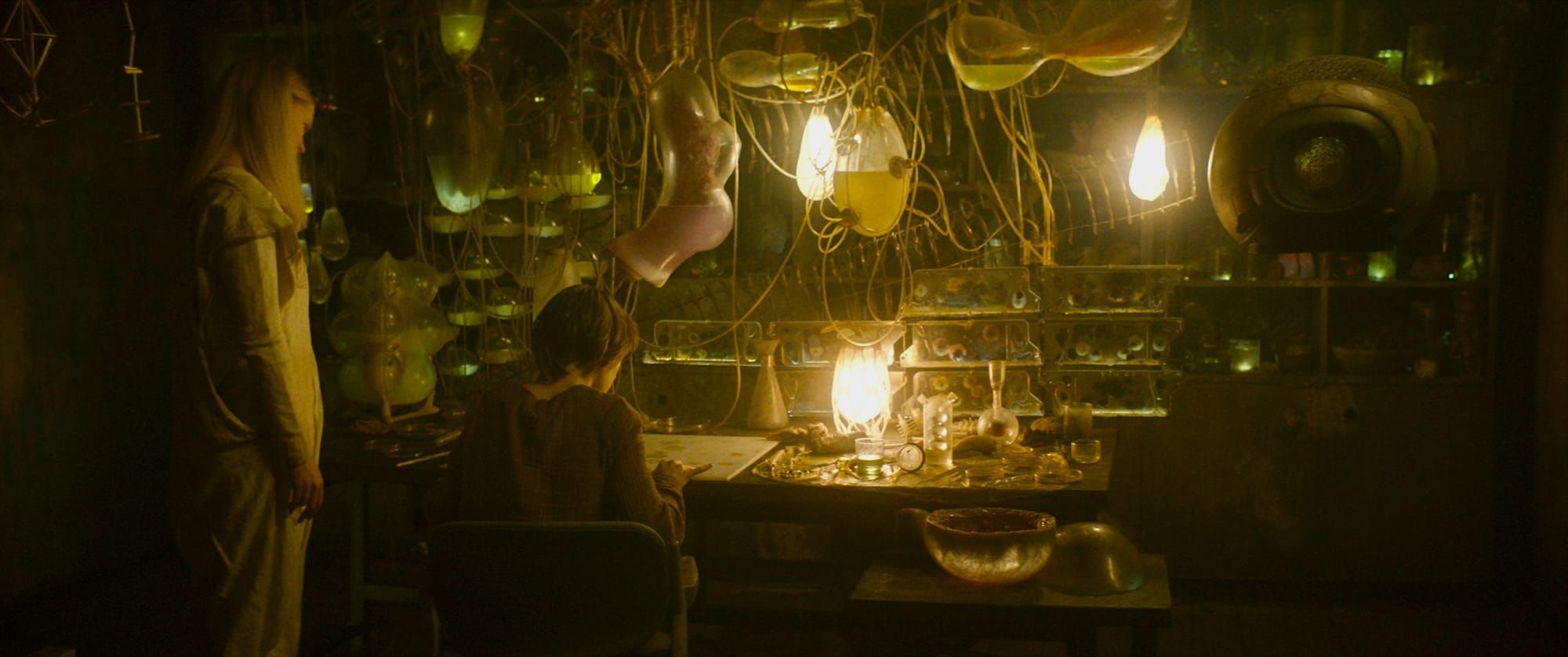 What the Light Costs