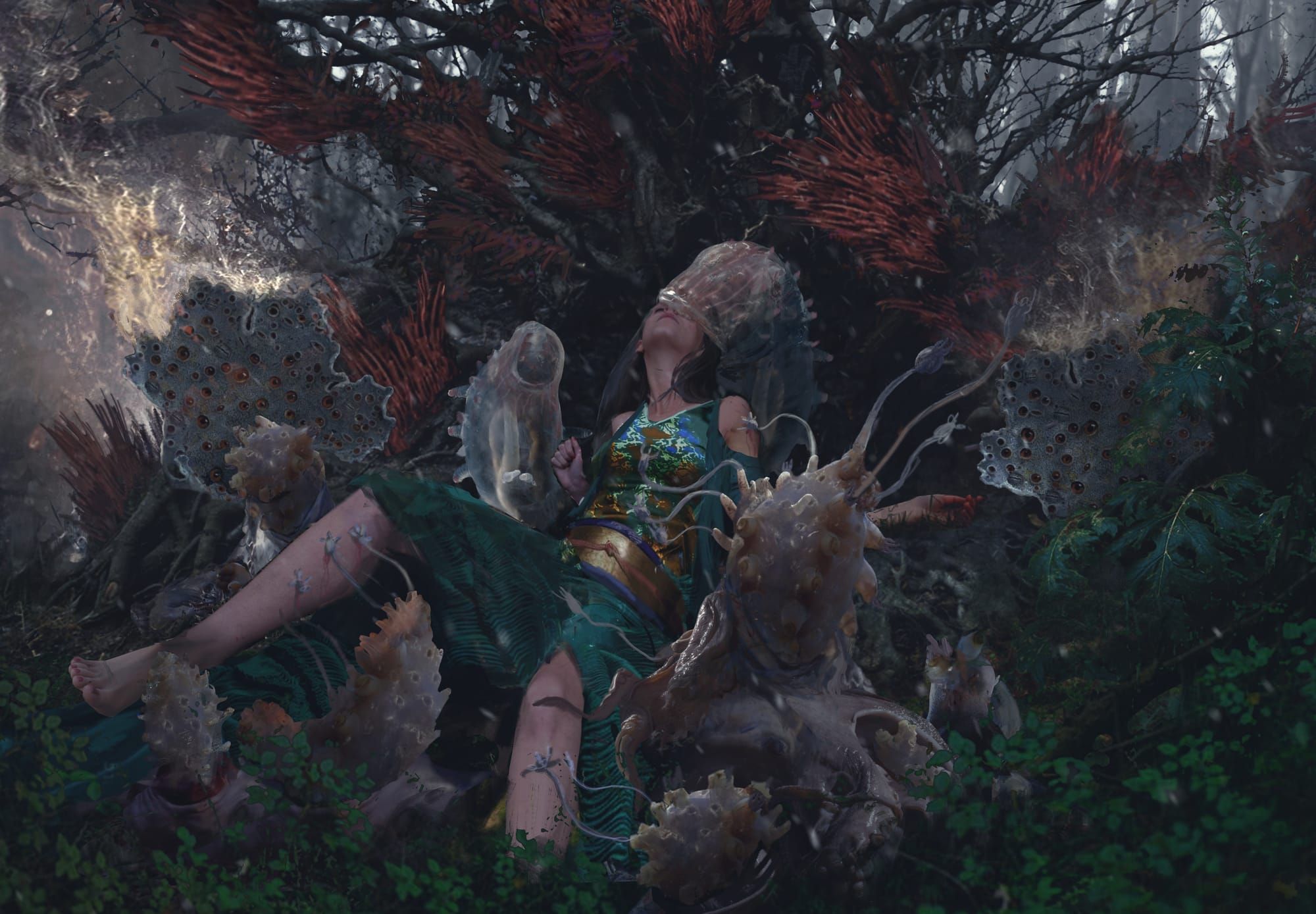 What You Hear When the Birds Are Gone