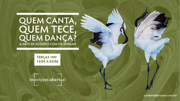 Quem canta, quem tece, quem dança? A arte de acordo com os animais