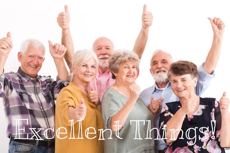 Excellent Things! Vol. 1