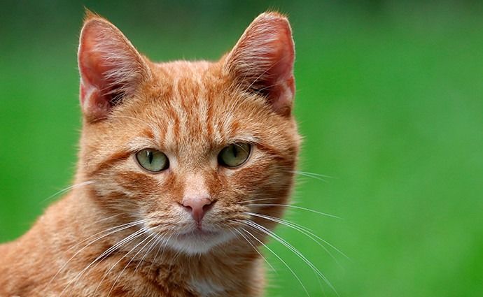 The rage bait is getting ugly