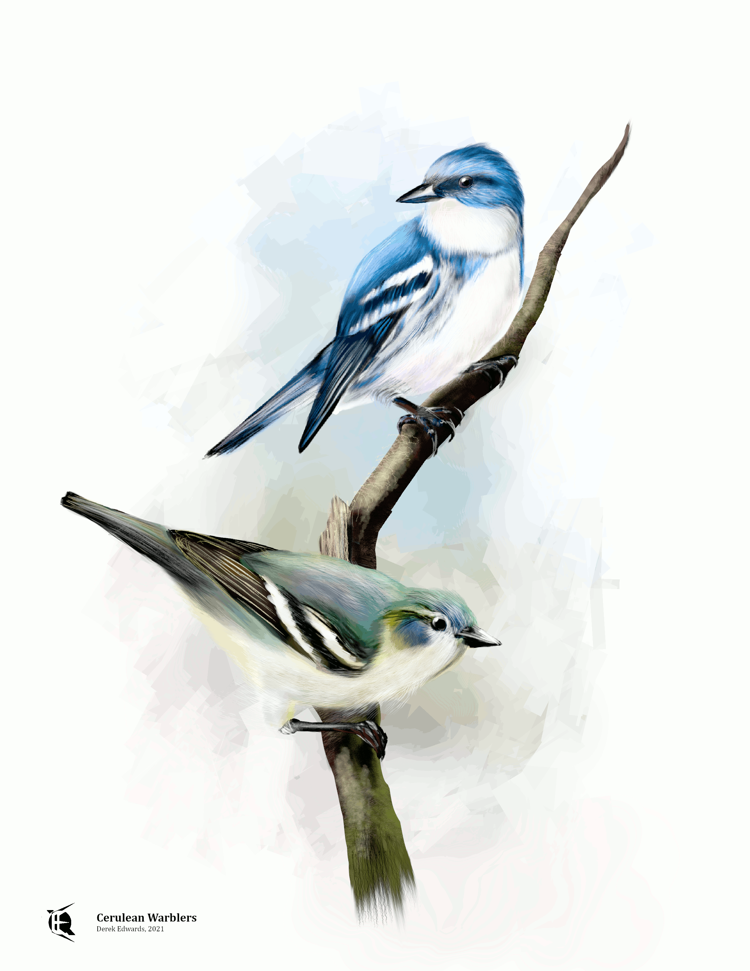 Cerulean Warblers.png