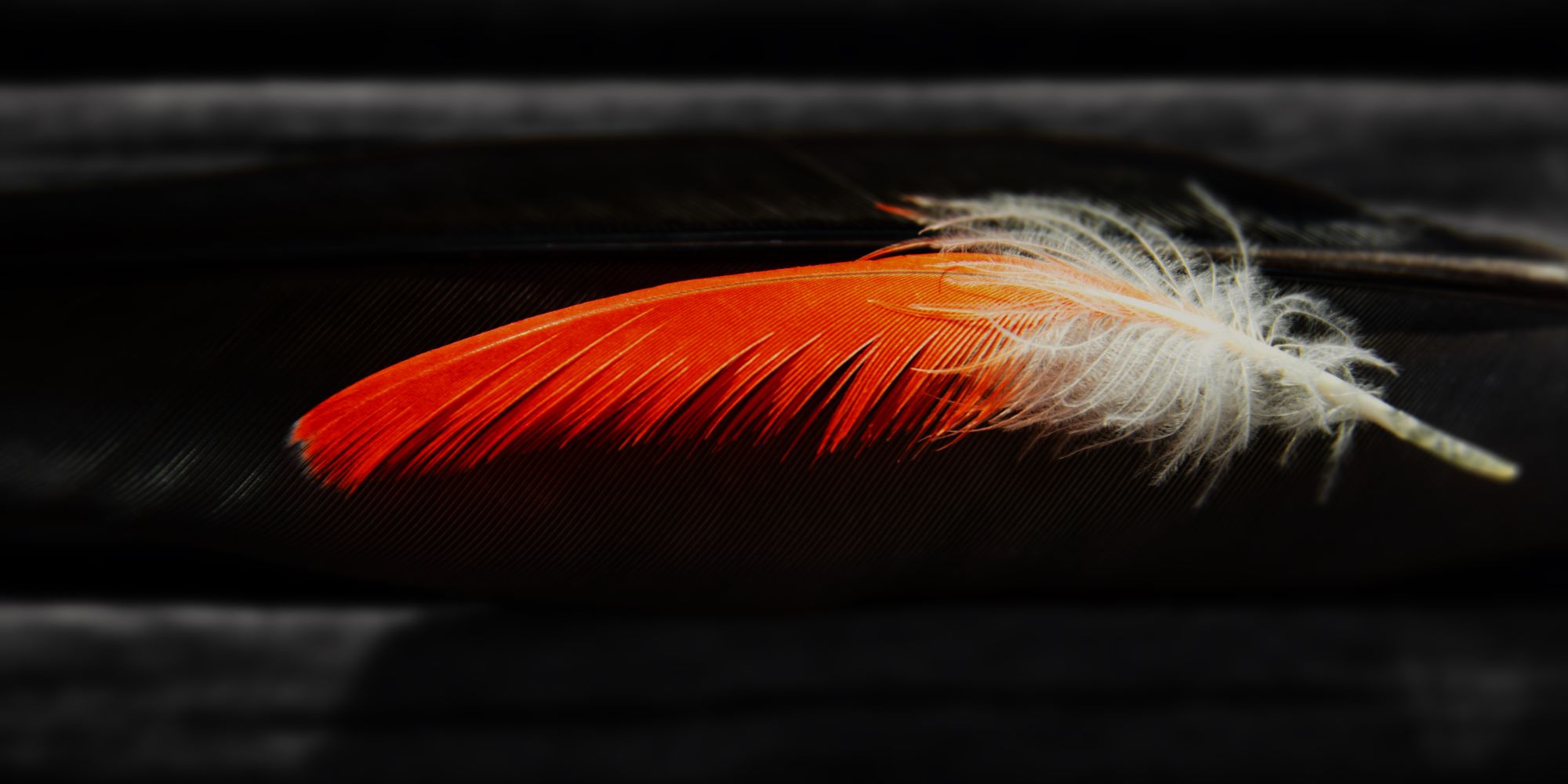 Running Commentary 9/25/2023