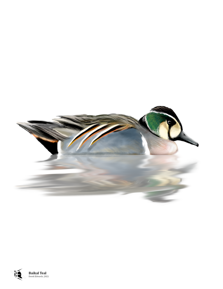 Running Commentary 4/12/2021