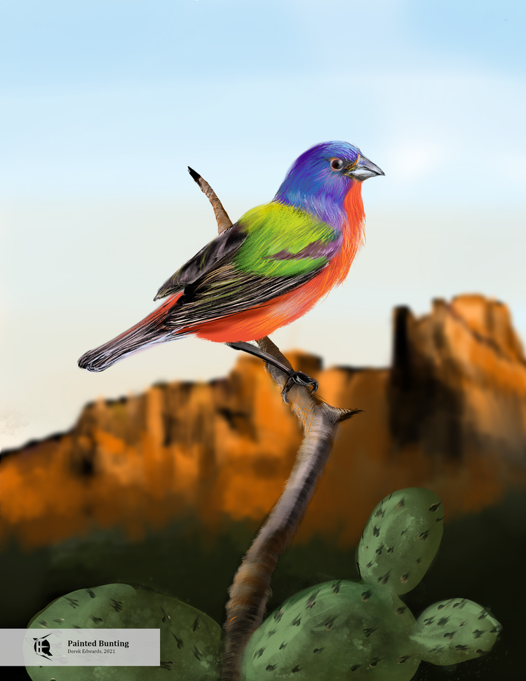 A Running Commentary 8/9/2021