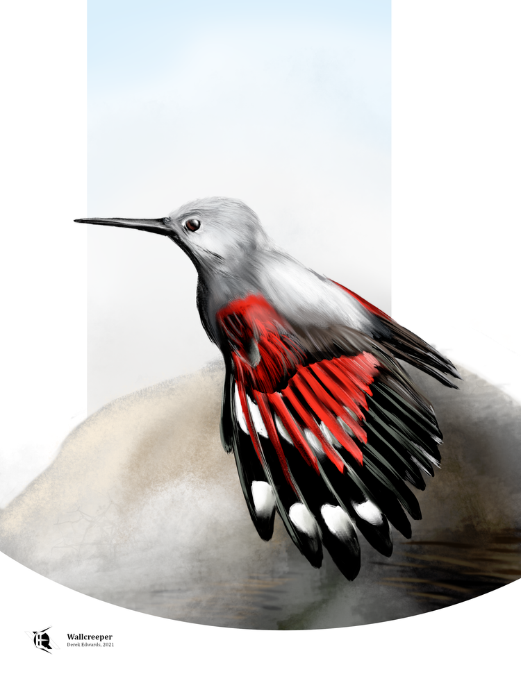 Running Commentary 9/27/2021