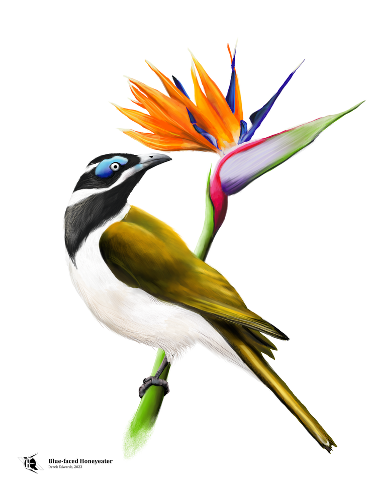 Running Commentary 3/20/2021