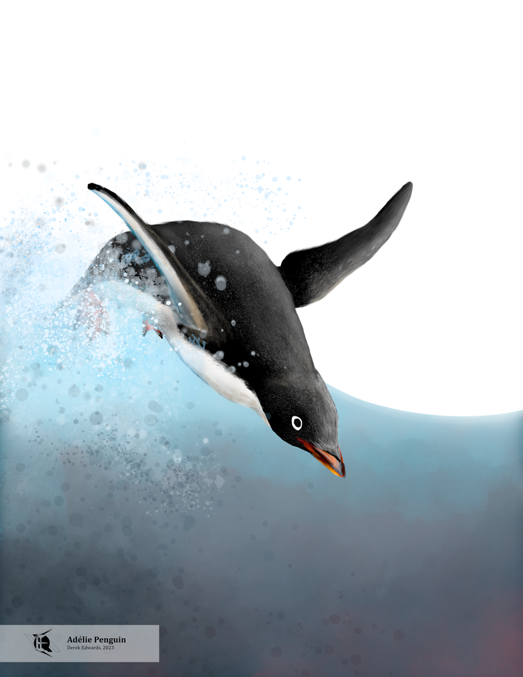 Running Commentary 8/7/2023