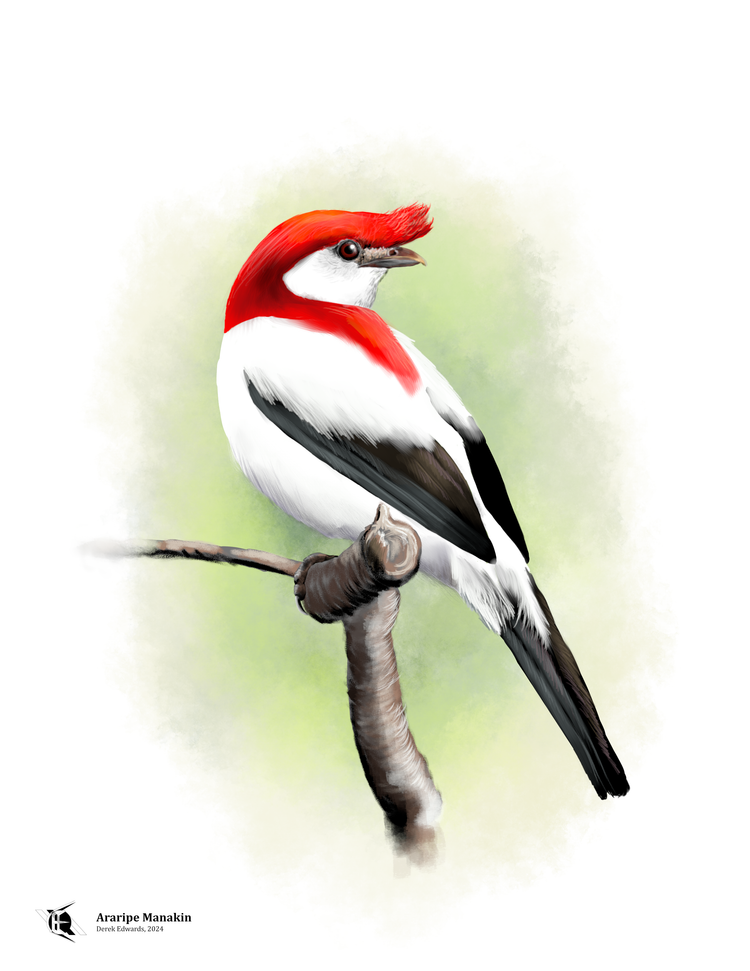 Running Commentary 4/29/2024