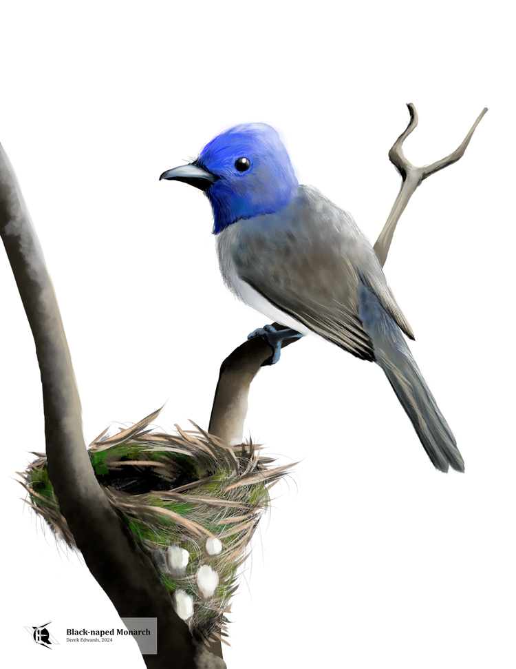 Running Commentary 5/20/2024