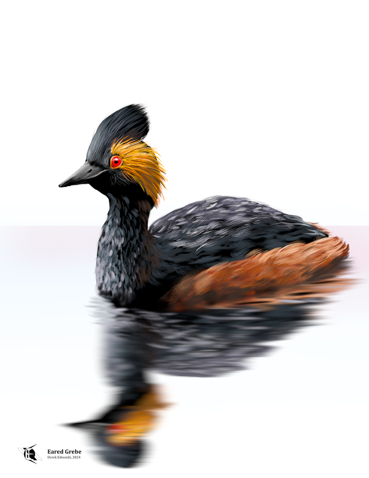 Running Commentary 5/6/2024