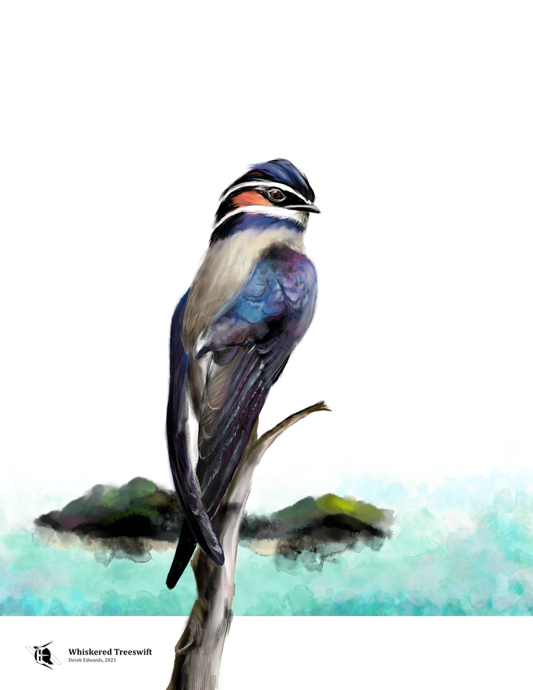 Running Commentary 5/13/2024