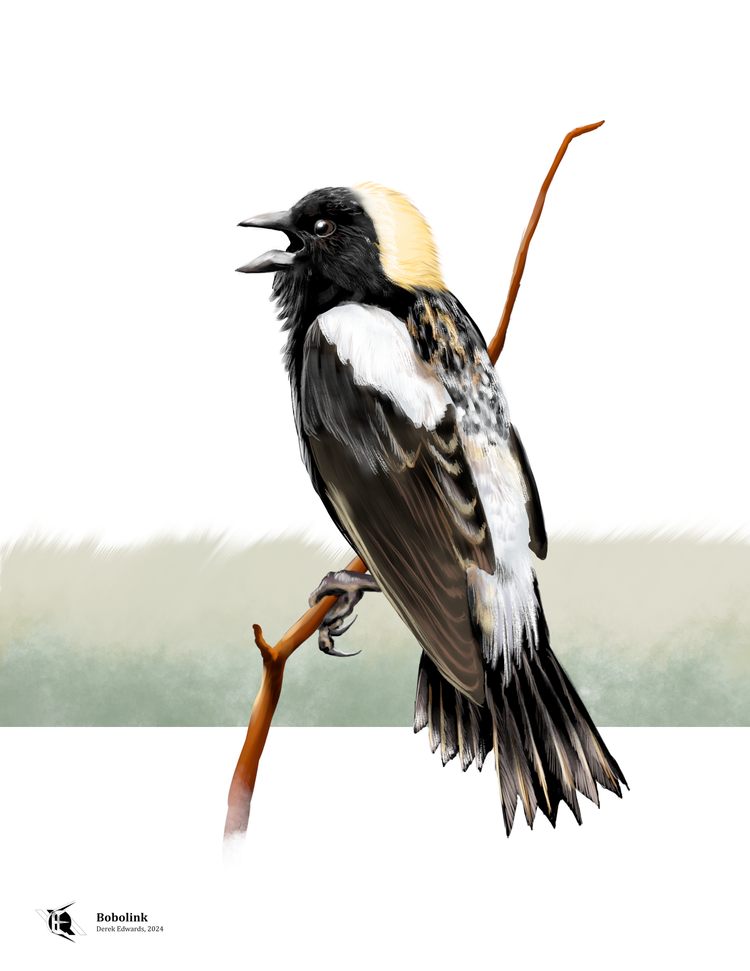 Running Commentary 6/10/2024