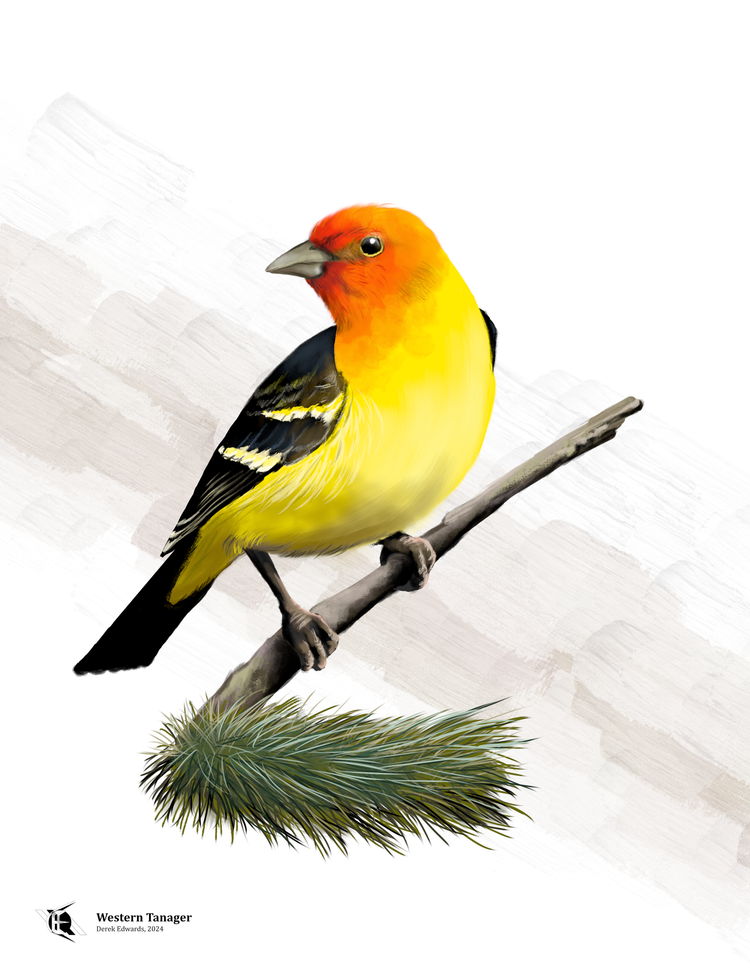 Running Commentary 6/17/2024