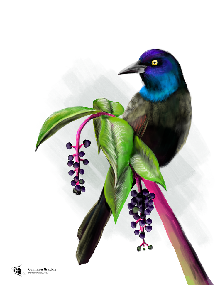 Running Commentary 7/15/2024