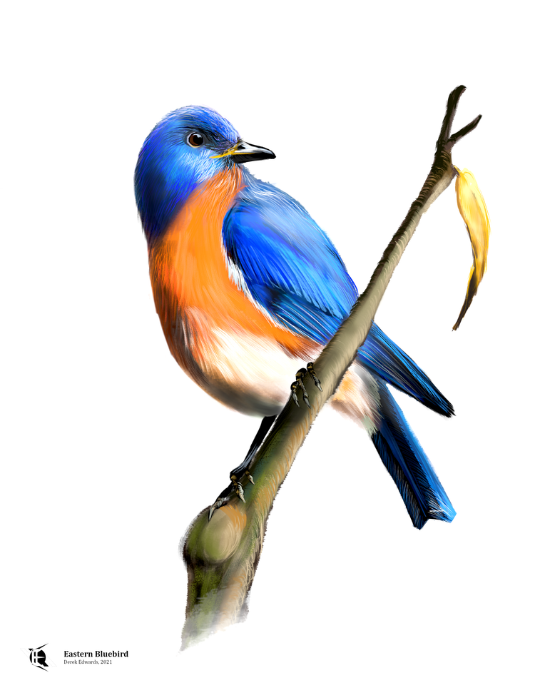 Running Commentary 7/9/2024