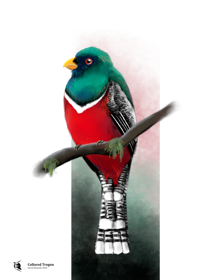 Running Commentary 1/6/2025